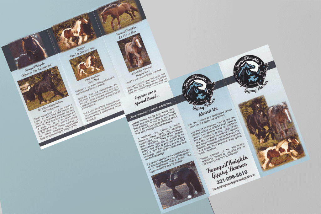 tranquility branding scene before